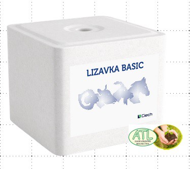 Lizawka solna BASIC