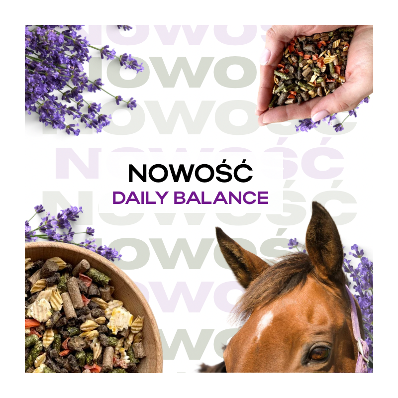 DAILY BALANCE musli dla koni rekreacyjnych - 20KG (NOWOŚĆ) LIRA - obrazek 3